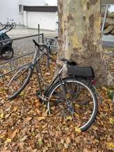 Bild zu gemeldetem Anliegen vom *2025-10-18 15:31:27
