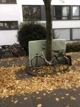 Bild zu gemeldetem Anliegen vom *2025-10-19 15:29:06