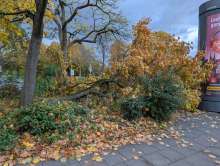 Bild zu gemeldetem Anliegen vom *2025-11-02 15:30:55