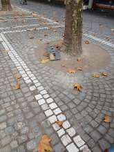 Bild zu gemeldetem Anliegen vom *2025-11-13 18:08:34