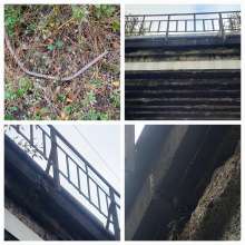 Bild zu gemeldetem Anliegen vom *2025-11-15 15:24:20