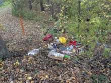 Bild zu gemeldetem Anliegen vom *2025-11-03 16:13:37