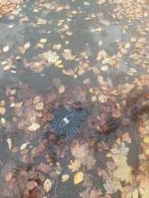 Bild zu gemeldetem Anliegen vom *2025-11-04 15:29:22