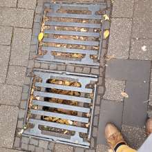 Bild zu gemeldetem Anliegen vom *2025-11-14 18:48:08