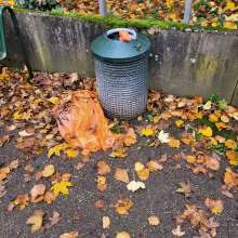 Bild zu gemeldetem Anliegen vom *2025-11-16 09:27:26