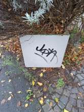 Bild zu gemeldetem Anliegen vom *2025-11-01 12:33:33