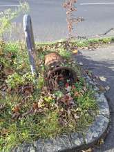 Bild zu gemeldetem Anliegen vom *2025-11-05 15:09:10