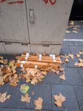 Bild zu gemeldetem Anliegen vom *2025-11-17 06:27:24