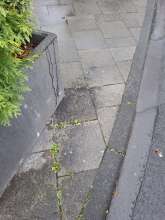 Bild zu gemeldetem Anliegen vom *2025-11-19 14:26:35