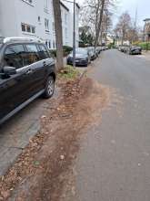 Bild zu gemeldetem Anliegen vom *2025-11-23 12:35:59