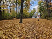 Bild zu gemeldetem Anliegen vom *2025-11-05 12:27:38