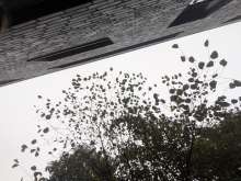 Bild zu gemeldetem Anliegen vom *2025-11-09 09:33:23