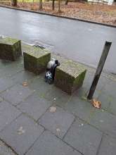 Bild zu gemeldetem Anliegen vom *2025-11-28 18:28:58