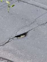 Bild zu gemeldetem Anliegen vom *2025-11-04 07:48:31