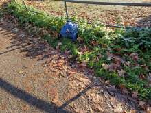 Müllsack in der Grünanlage entlang des trocken gelegten Strundener Bachs in Buchheim vom *2025-11-21 18:33:54