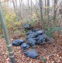 Bild zu gemeldetem Anliegen vom *2025-11-13 17:59:20