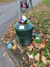 Bild zu gemeldetem Anliegen vom *2025-11-07 12:27:22