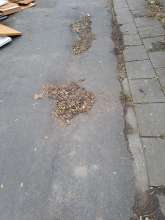 Bild zu gemeldetem Anliegen vom *2025-11-14 09:29:49