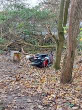 Bild zu gemeldetem Anliegen vom *2025-11-24 09:29:37