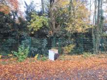 Bild zu gemeldetem Anliegen vom *2025-11-09 15:41:10