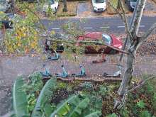 Bild zu gemeldetem Anliegen vom *2025-11-03 18:27:47