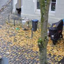 Bild zu gemeldetem Anliegen vom *2025-11-09 12:29:50