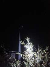 Bild zu gemeldetem Anliegen vom *2025-11-09 21:34:42