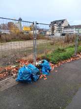 Bild zu gemeldetem Anliegen vom *2025-11-16 21:29:10