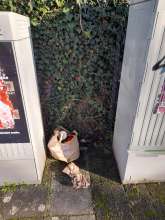 Bild zu gemeldetem Anliegen vom *2025-11-21 12:29:19