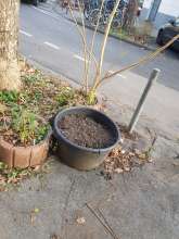 Bild zu gemeldetem Anliegen vom *2025-11-23 18:29:09