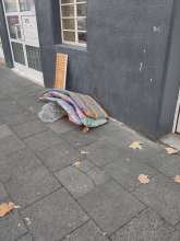 Bild zu gemeldetem Anliegen vom *2025-11-09 12:29:50