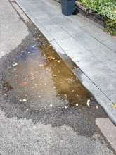 Bild zu gemeldetem Anliegen vom *2025-11-13 13:44:07