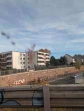 Bild zu gemeldetem Anliegen vom *2025-11-06 09:34:05