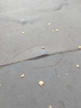 Bild zu gemeldetem Anliegen vom *2025-11-13 09:27:48