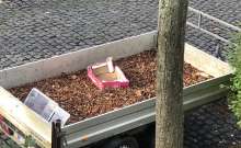 Bild zu gemeldetem Anliegen vom *2025-11-12 09:31:52