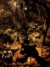 Bild zu gemeldetem Anliegen vom *2025-11-26 19:32:24