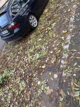 Bild zu gemeldetem Anliegen vom *2025-11-13 09:27:48