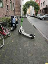 Bild zu gemeldetem Anliegen vom *2025-11-15 09:28:36