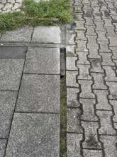 Bereits Reparierter Schaden neu aufgetreten 