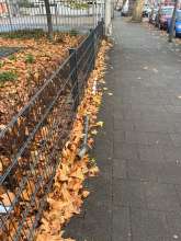 Bild zu gemeldetem Anliegen vom *2025-11-25 09:23:55