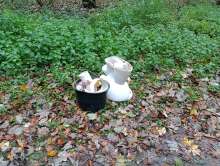 Bild zu gemeldetem Anliegen vom *2025-11-01 06:35:23