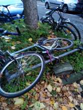 Bild zu gemeldetem Anliegen vom *2025-11-03 15:28:41