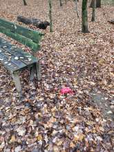 Bild zu gemeldetem Anliegen vom *2025-11-16 12:31:18