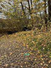 Bild zu gemeldetem Anliegen vom *2025-11-03 11:50:34