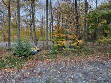 Bild zu gemeldetem Anliegen vom *2025-11-05 13:33:07