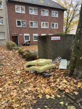 Bild zu gemeldetem Anliegen vom *2025-11-01 09:29:34