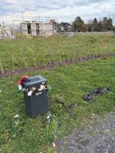 Bild zu gemeldetem Anliegen vom *2025-11-13 15:36:11