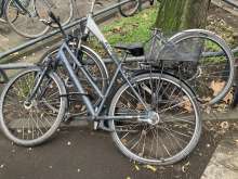 Bild zu gemeldetem Anliegen vom *2025-11-26 09:33:14