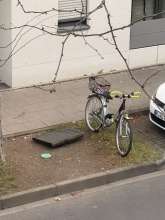 Bild zu gemeldetem Anliegen vom *2025-11-10 16:20:26