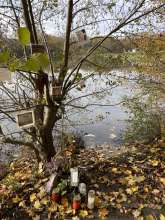 Bild zu gemeldetem Anliegen vom *2025-11-06 15:29:04